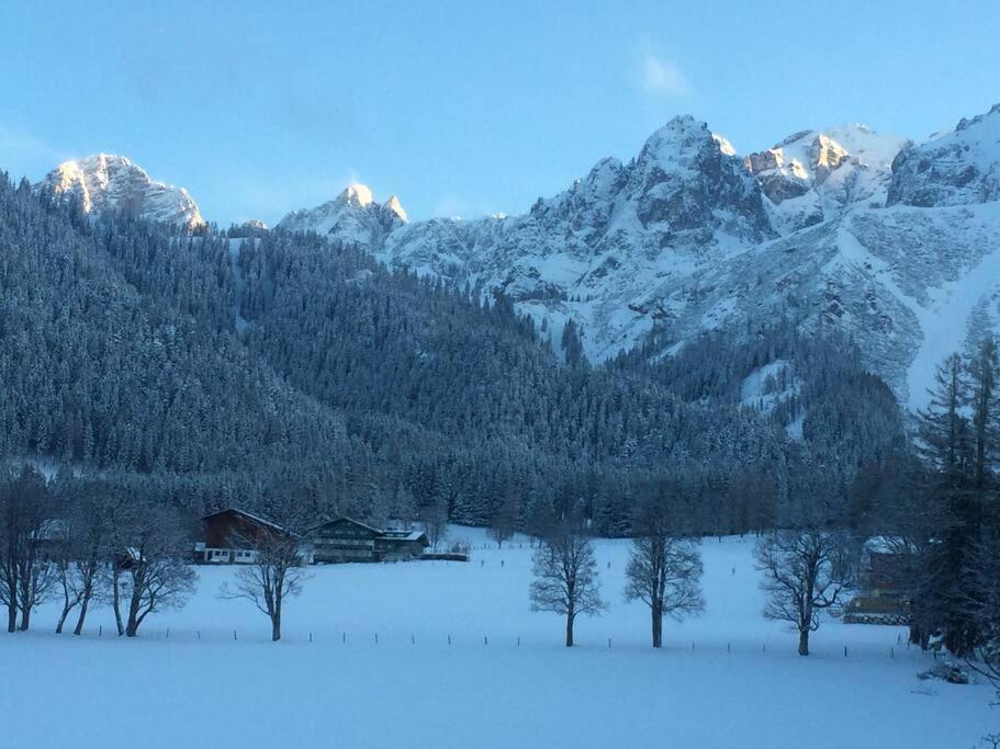 Family Appartment - Dachstein View Ramsau am Dachstein Kültér fotó