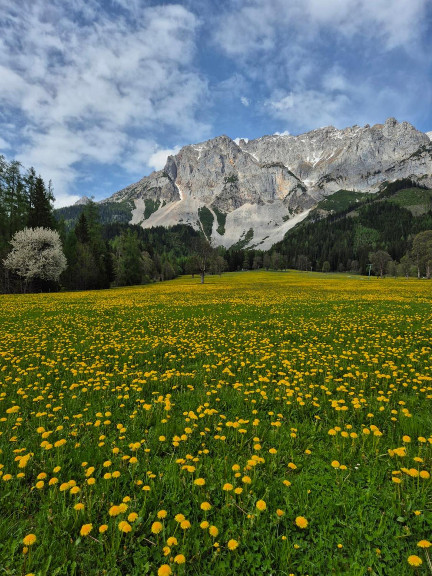 Family Appartment - Dachstein View Ramsau am Dachstein Kültér fotó